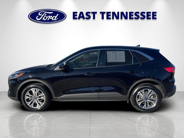 Certified 2022 Ford Escape SEL image 2