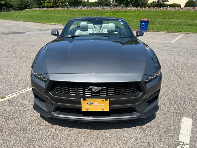 Certified 2024 Ford Mustang Premium w/ 2.3L High Performance Package RWD image 15