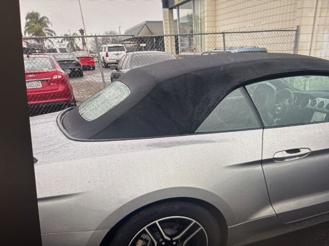 Certified 2021 Ford Mustang EcoBoost w/ Equipment Group 101A image 9