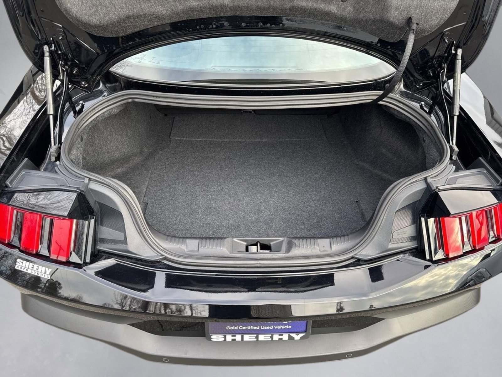 Certified 2025 Ford Mustang GT Premium w/ Mustang Nite Pony Package image 25