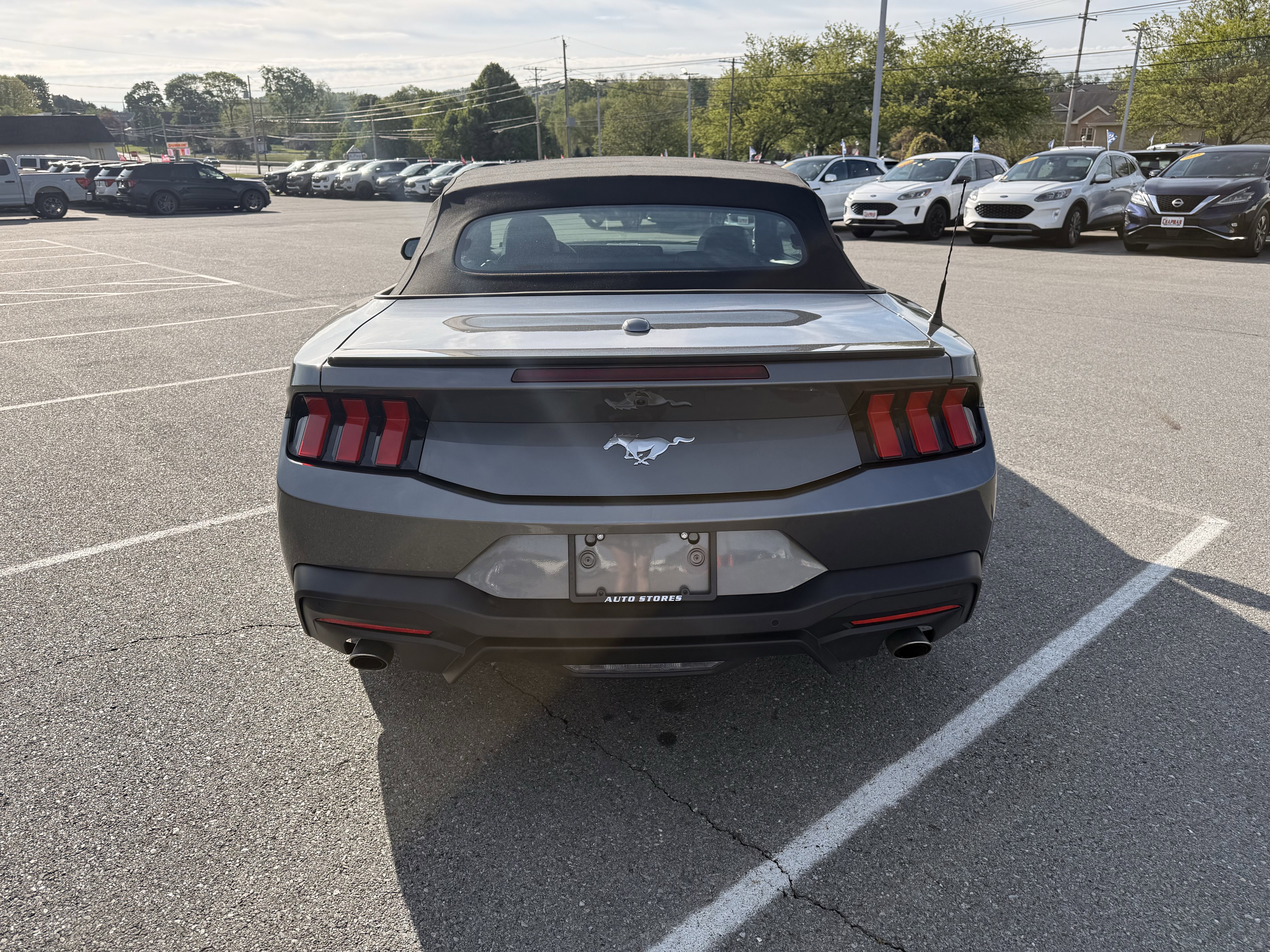 Certified 2025 Ford Mustang Premium RWD image 7
