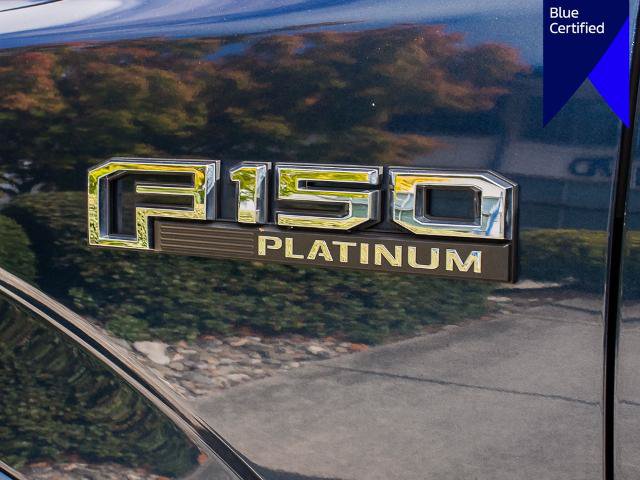 Certified 2019 Ford F150 Platinum w/ Equipment Group 701A Luxury AWD/4WD image 10