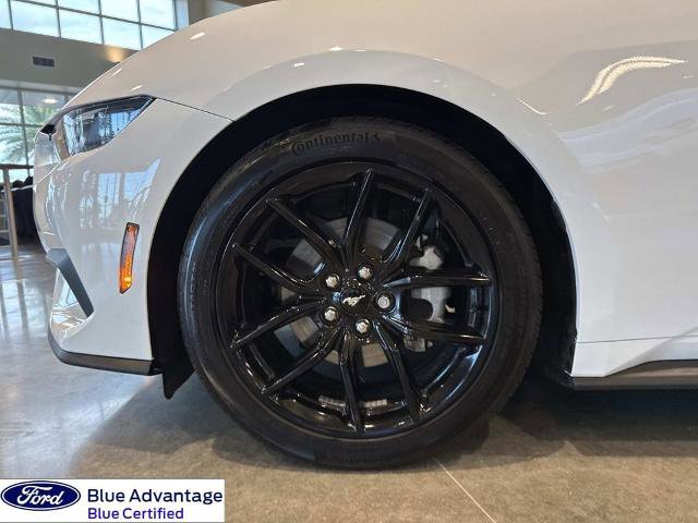 Certified 2025 Ford Mustang Premium w/ Mustang Nite Pony Package image 7