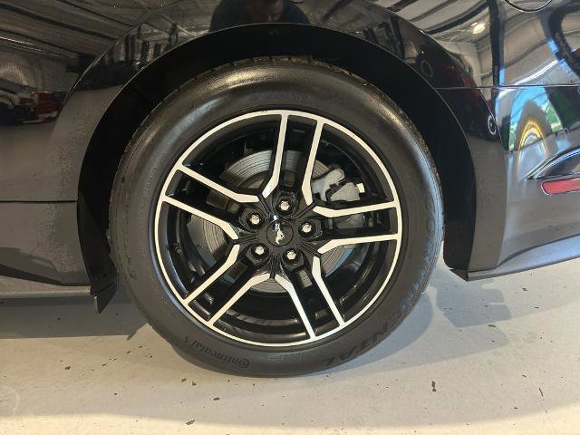 Certified 2019 Ford Mustang GT Premium image 9