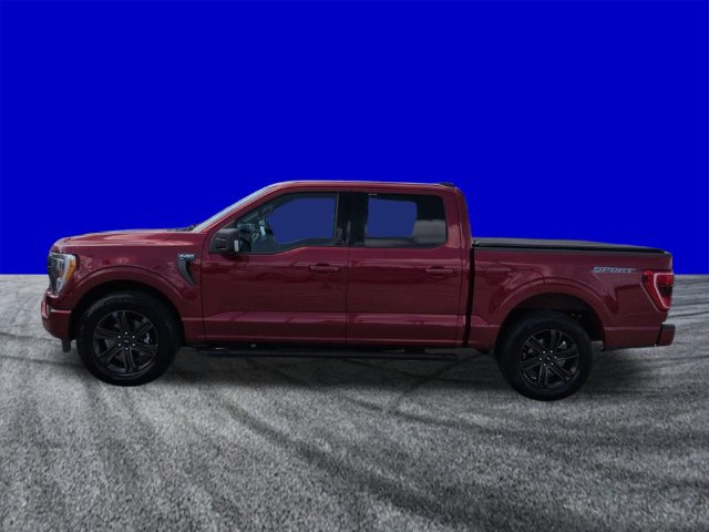 Certified 2021 Ford F150 XLT w/ Equipment Group 302A High RWD image 7
