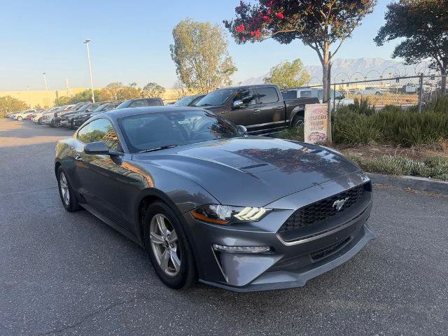Certified 2023 Ford Mustang Coupe RWD image 2