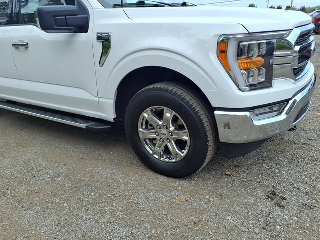 Certified 2023 Ford F150 XLT w/ Equipment Group 302A High AWD/4WD image 4
