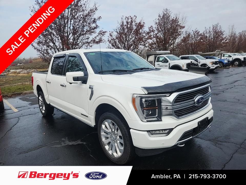 Certified 2023 Ford F150 Limited image 1