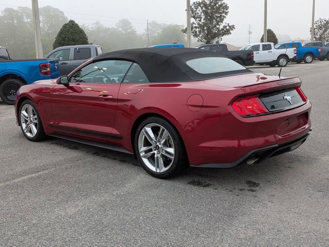 Certified 2019 Ford Mustang Premium w/ Pony Package image 3