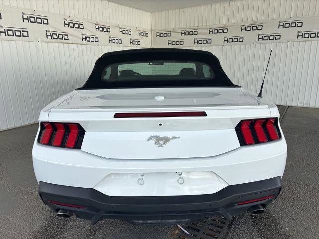 Certified 2025 Ford Mustang Premium RWD image 17