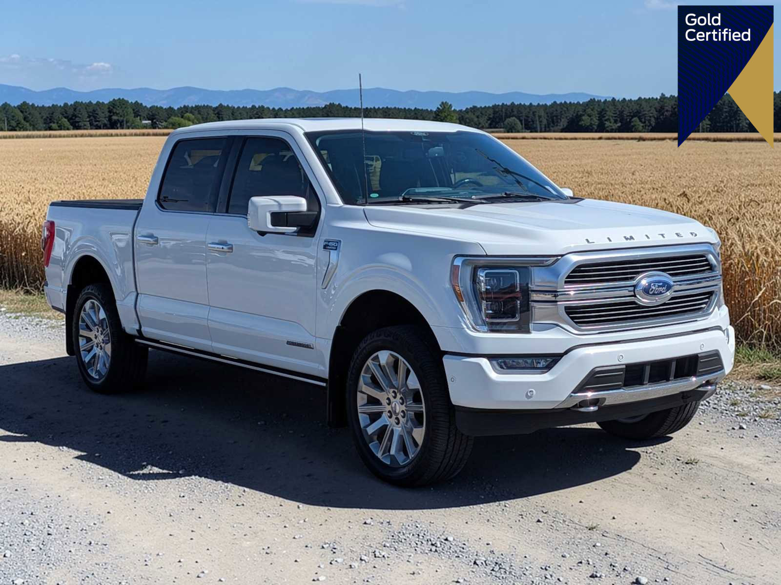 Certified 2021 Ford F150 Limited