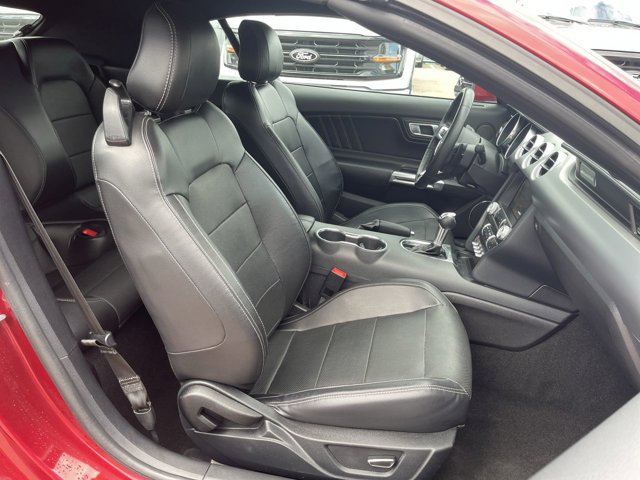 Certified 2019 Ford Mustang Premium RWD image 12