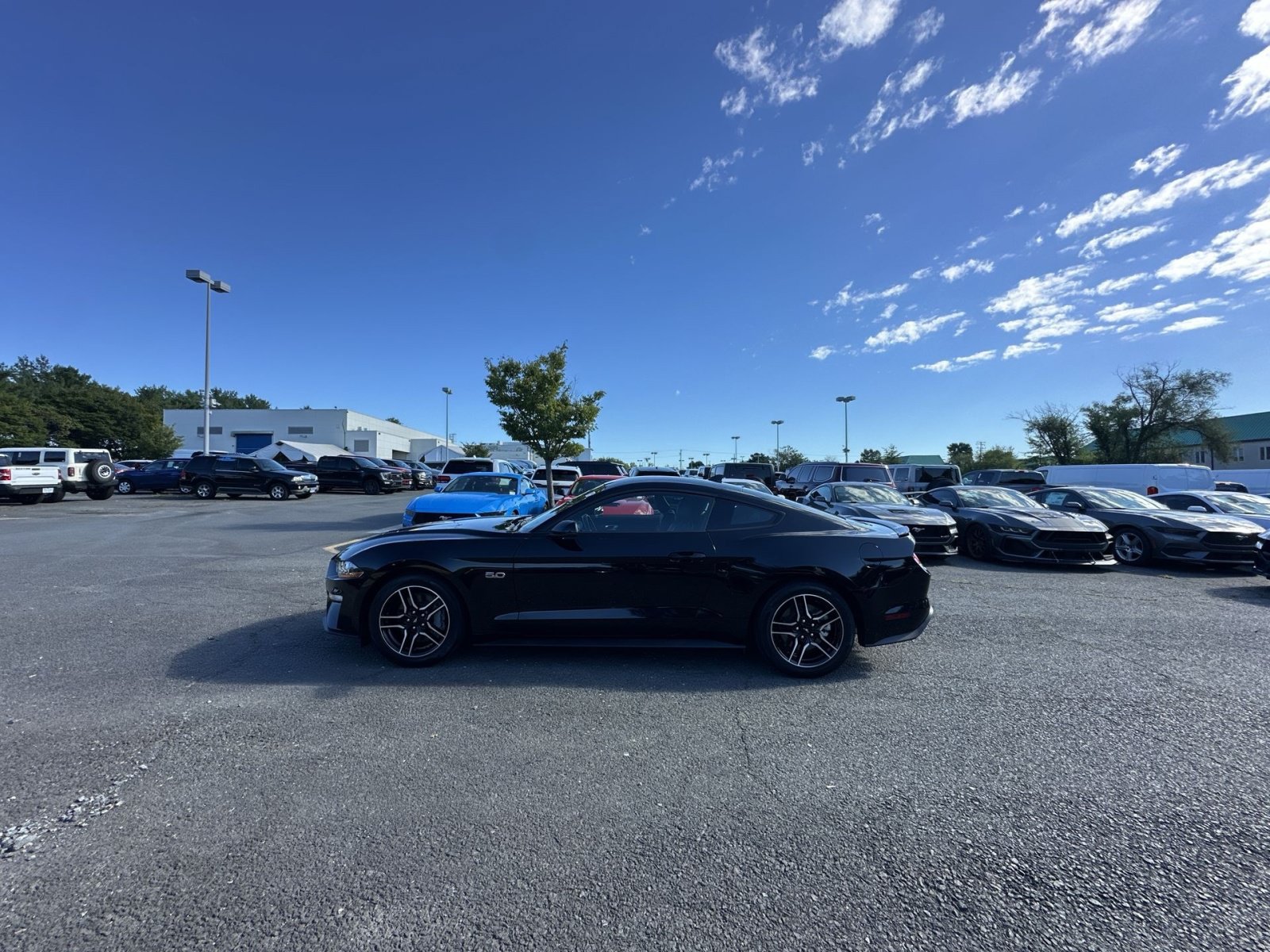 Certified 2023 Ford Mustang GT Premium w/ Equipment Group 401A RWD image 7