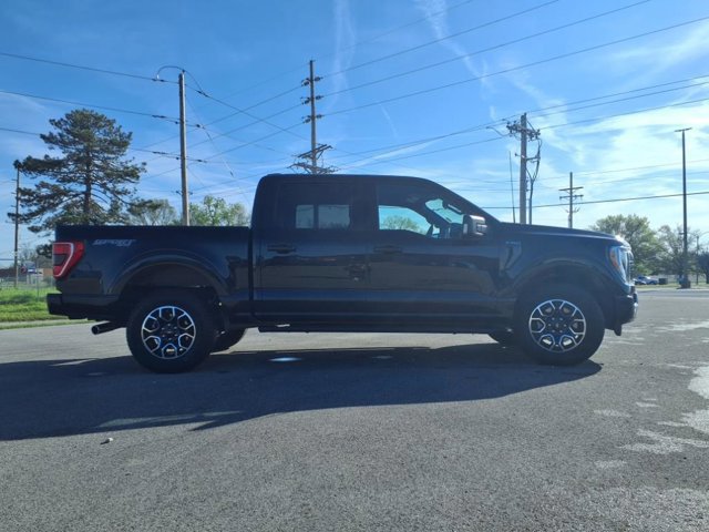 Certified 2023 Ford F150 XLT w/ Equipment Group 302A High image 4