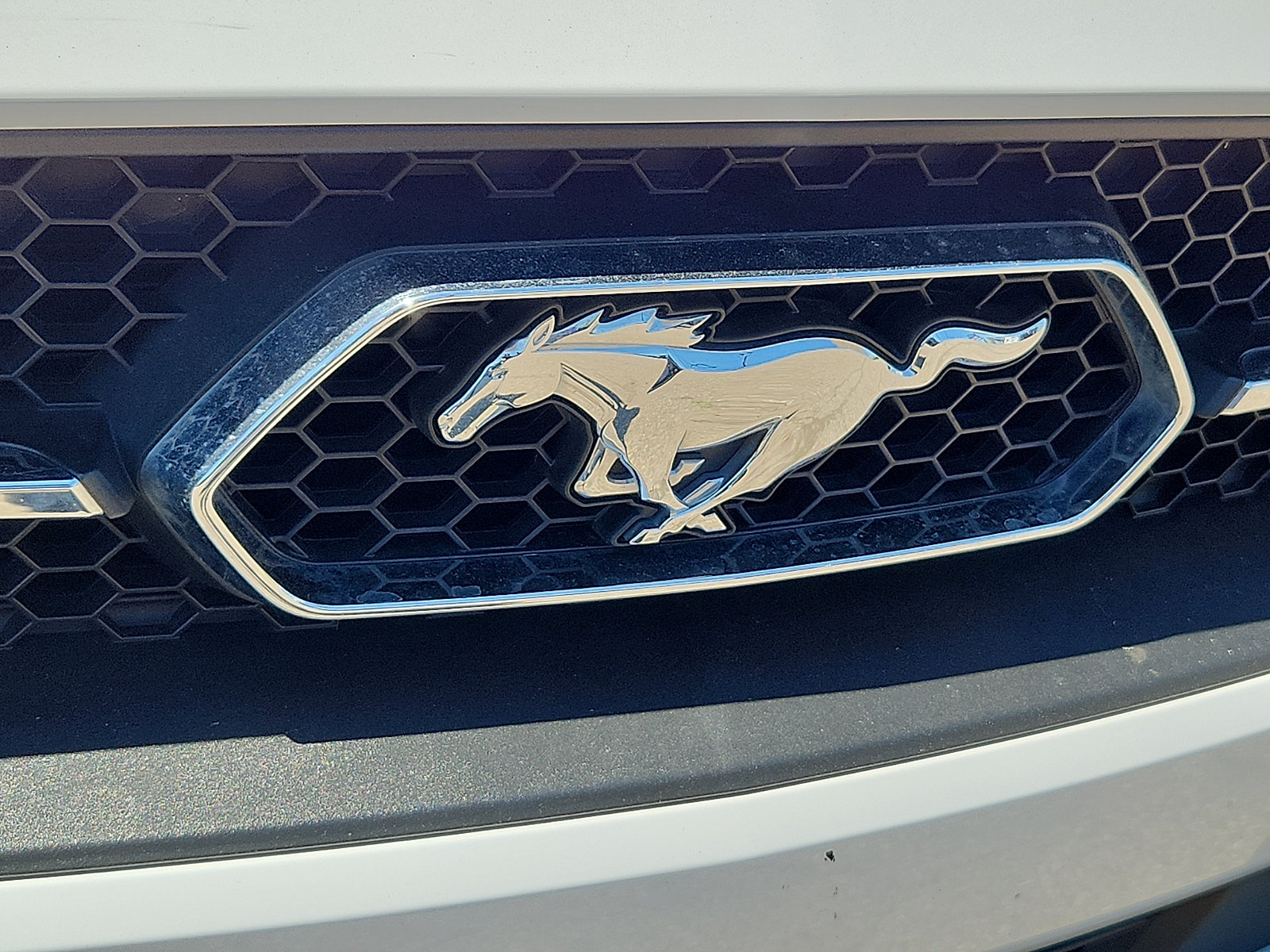 Certified 2021 Ford Mustang Premium w/ Pony Package RWD image 30