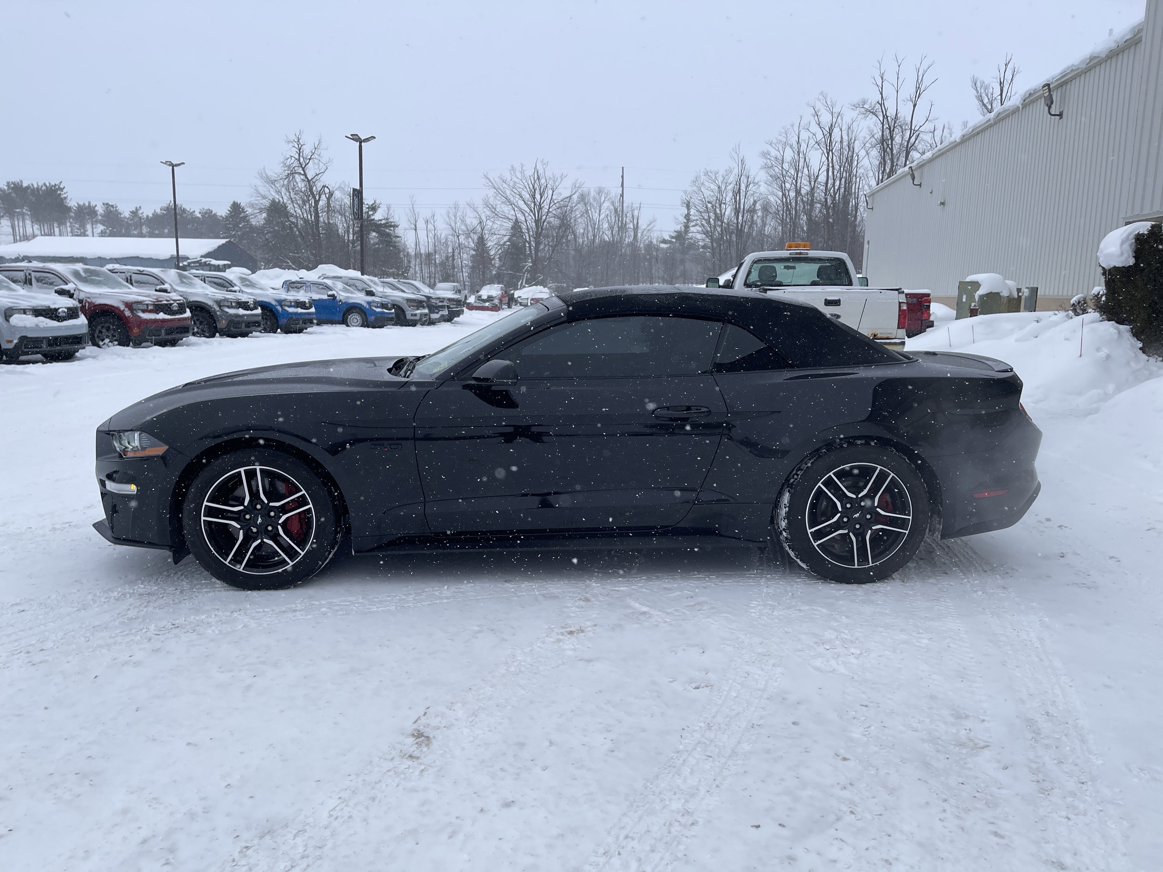 Certified 2020 Ford Mustang GT Premium image 7