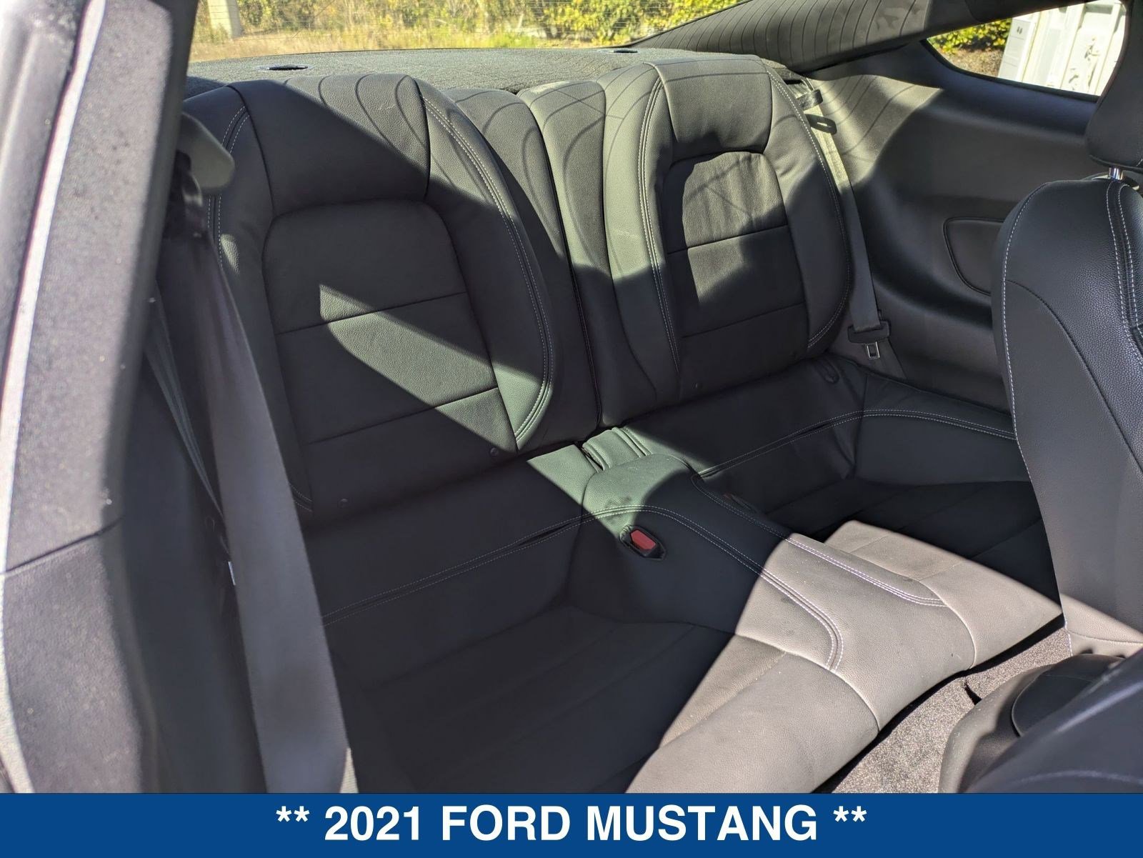 Certified 2021 Ford Mustang EcoBoost image 15