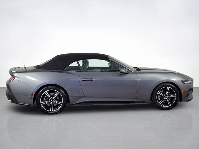 Certified 2024 Ford Mustang Premium RWD image 2