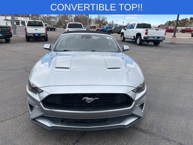 Certified 2021 Ford Mustang Premium image 2