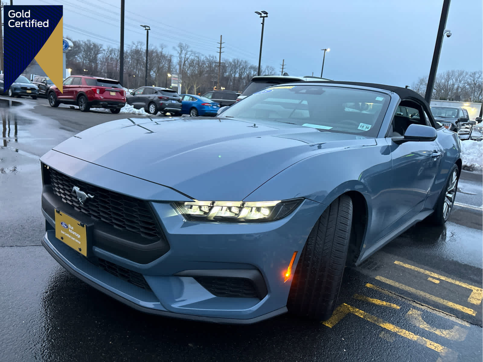 Certified 2025 Ford Mustang Premium