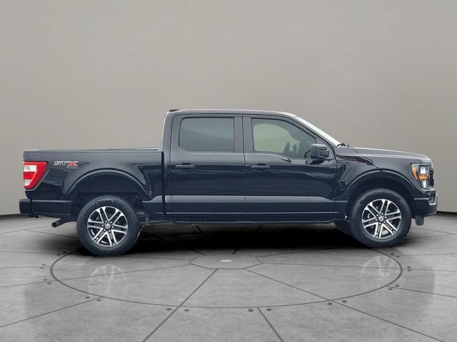 Certified 2023 Ford F150 XL w/ STX Appearance Package AWD/4WD image 13