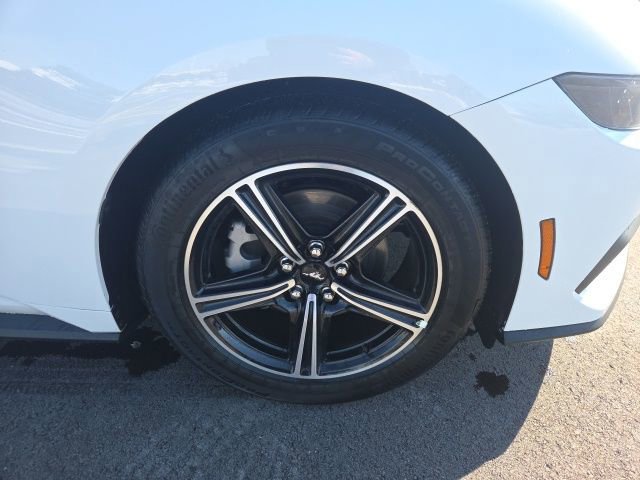 Certified 2025 Ford Mustang Premium image 8