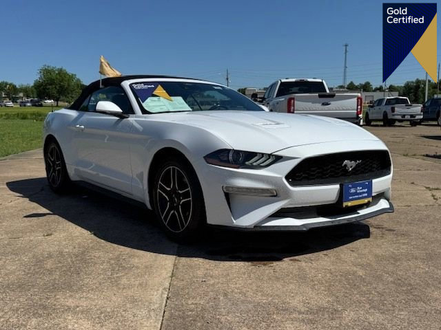 Certified 2023 Ford Mustang Premium image 1