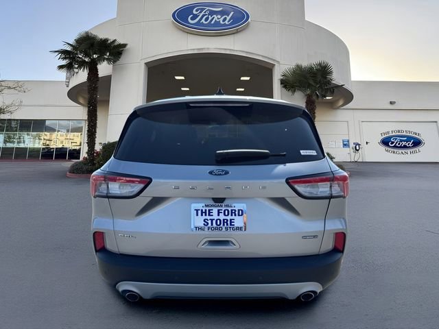 Certified 2021 Ford Escape SEL AWD/4WD image 7