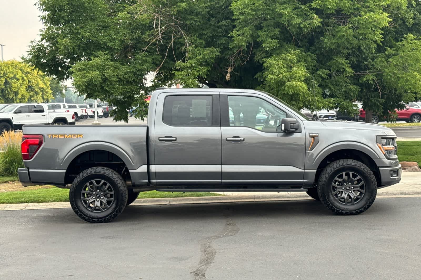 Certified 2025 Ford F150 Tremor AWD/4WD image 8