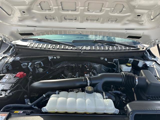 Certified 2024 Ford Expedition XLT image 28