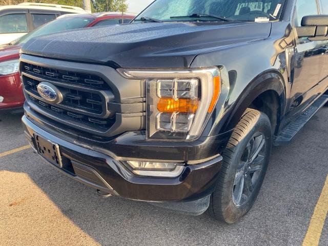 Certified 2023 Ford F150 XLT w/ Equipment Group 302A High AWD/4WD image 14