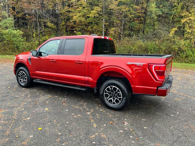Certified 2023 Ford F150 XLT w/ Equipment Group 302A High image 5