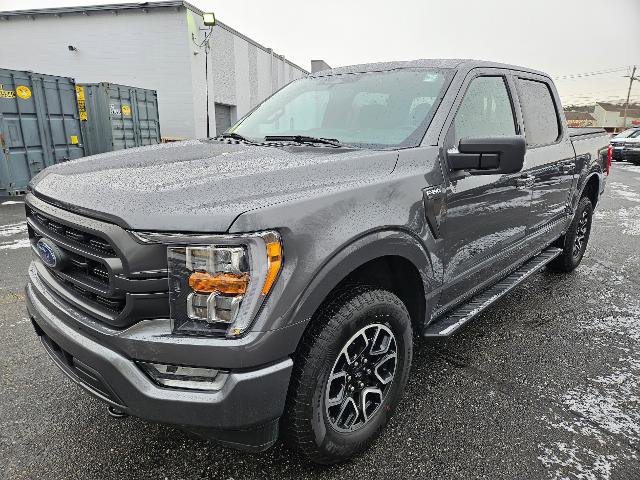 Certified 2023 Ford F150 XLT w/ Equipment Group 302A High