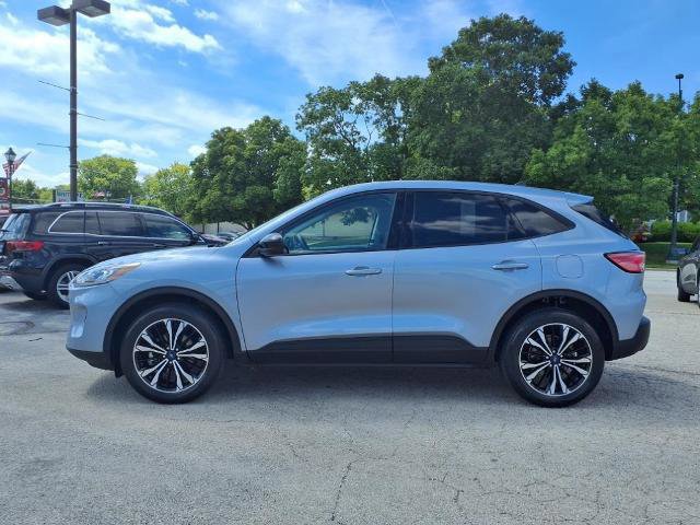 Certified 2022 Ford Escape SE w/ SE Sport Appearance Package image 6