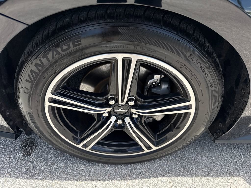 Certified 2024 Ford Mustang Premium RWD image 13