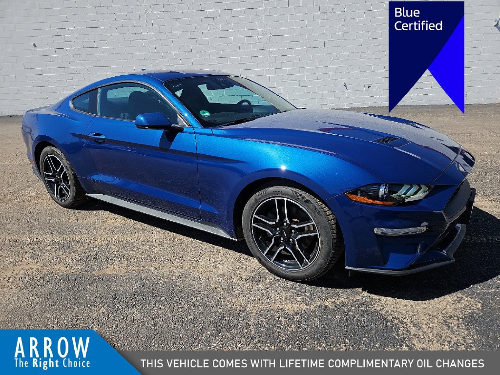 Certified 2023 Ford Mustang Coupe w/ Equipment Group 101A