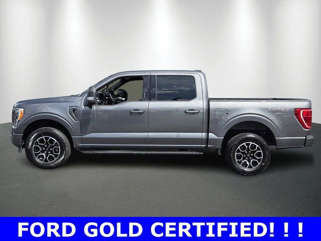 Certified 2023 Ford F150 XLT w/ Equipment Group 302A High image 6