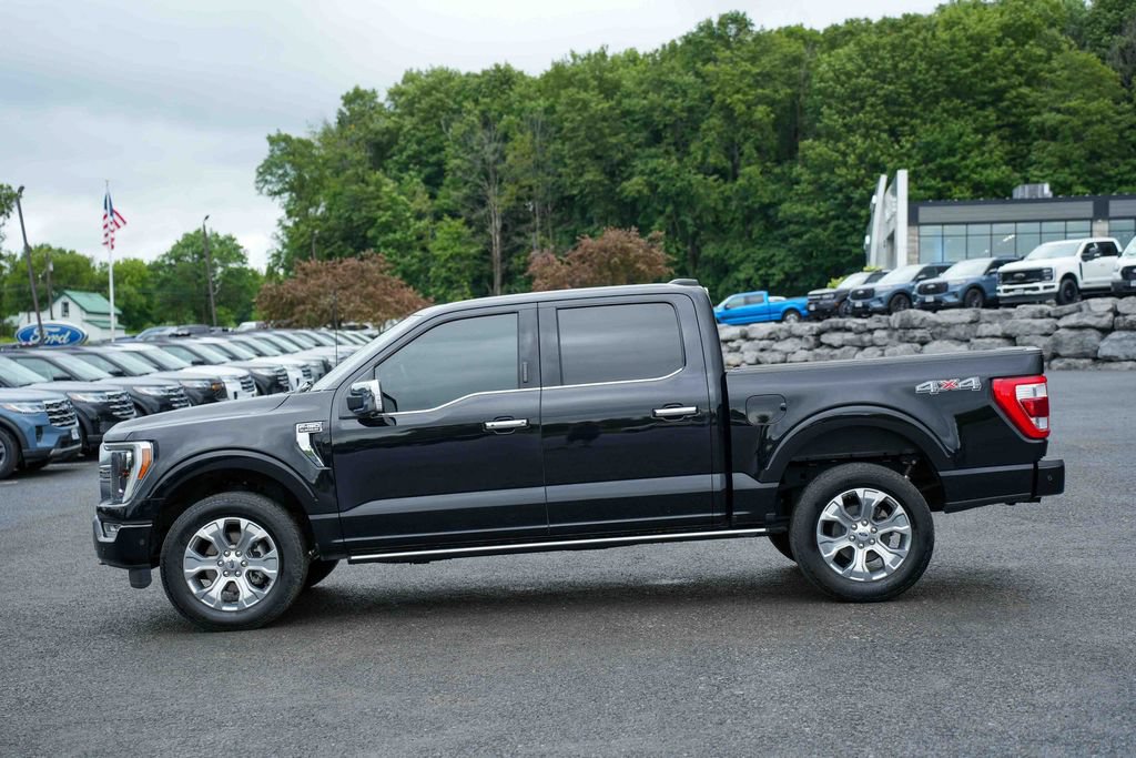 Certified 2023 Ford F150 Platinum AWD/4WD image 8