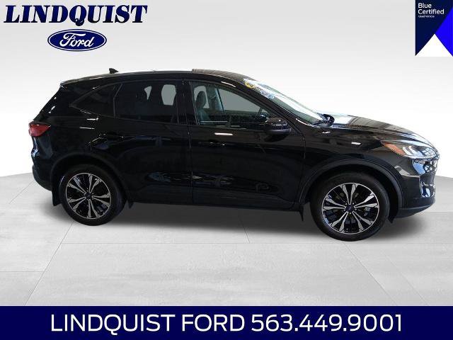 Certified 2022 Ford Escape SE w/ SE Sport Appearance Package AWD/4WD image 7