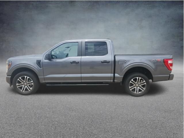 Certified 2023 Ford F150 XL w/ STX Appearance Package AWD/4WD image 6