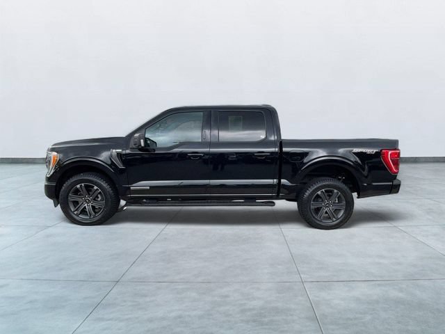 Certified 2023 Ford F150 XLT w/ Equipment Group 302A High AWD/4WD image 4
