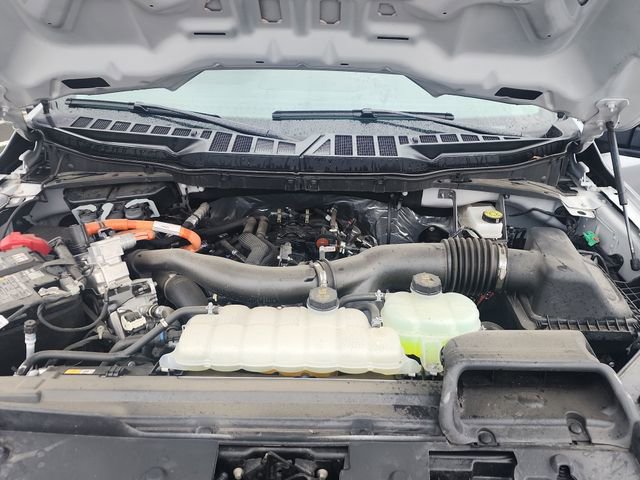 Certified 2025 Ford F150 XLT w/ Equipment Group 301A Standard image 34