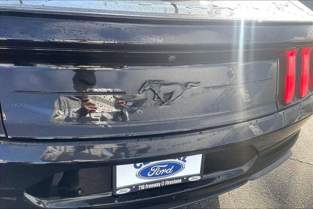 Certified 2023 Ford Mustang EcoBoost w/ Mustang Nite Pony Package image 10