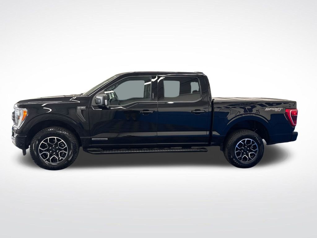 Certified 2021 Ford F150 XLT w/ Equipment Group 302A High AWD/4WD image 2