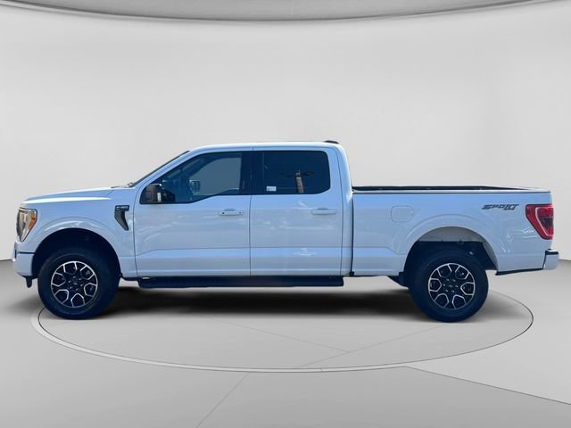 Certified 2023 Ford F150 XLT w/ Equipment Group 302A High AWD/4WD image 2