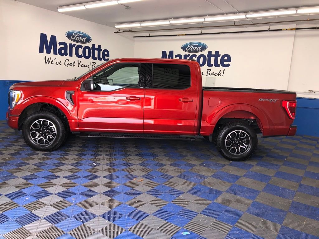 Certified 2023 Ford F150 XLT w/ Equipment Group 302A High image 3