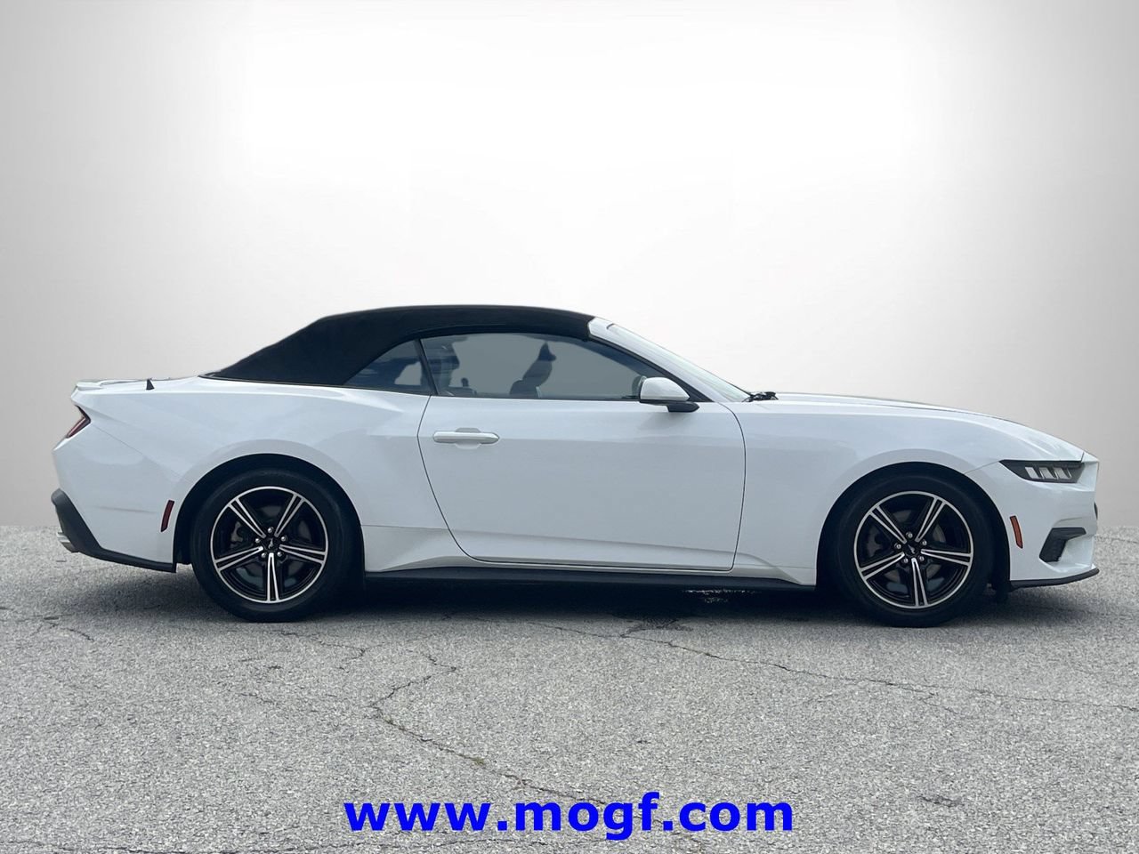 Certified 2024 Ford Mustang Premium RWD image 24