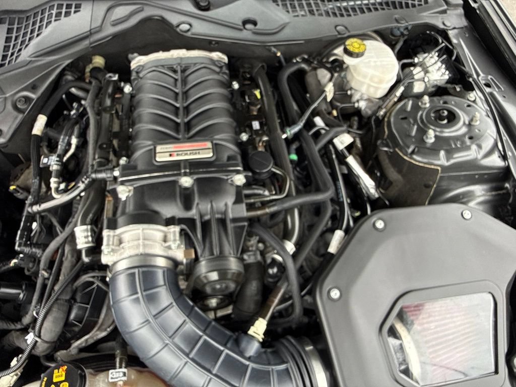 Certified 2019 Ford Mustang GT Premium w/ Equipment Group 401A RWD image 48