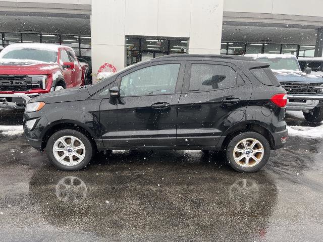 Certified 2022 Ford EcoSport SE image 3