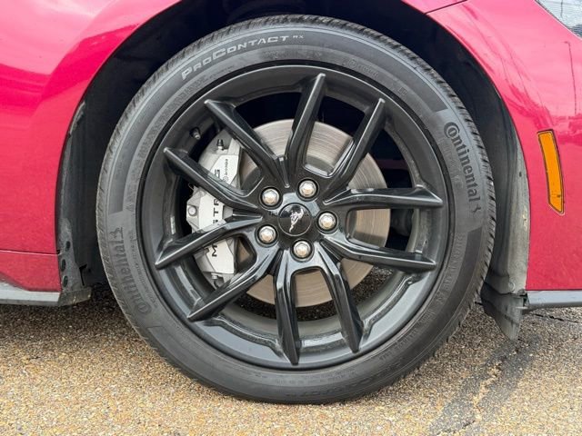 Certified 2025 Ford Mustang GT Premium w/ Mustang Nite Pony Package image 6